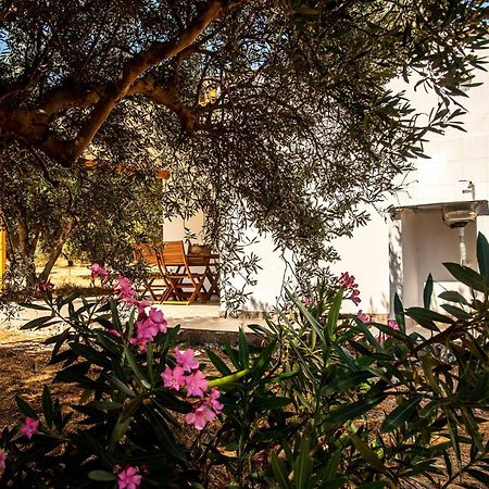 Flamingo Colour Valey House Villa Palekastro Exterior foto