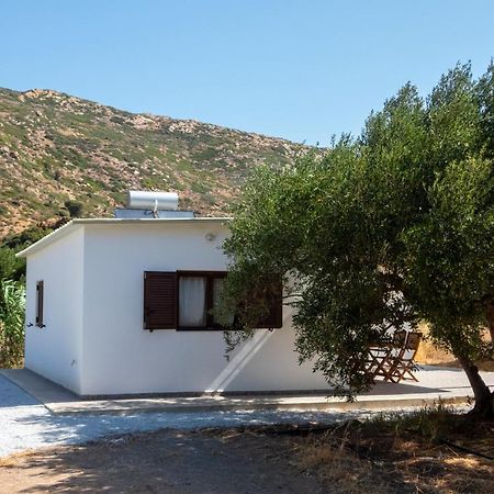 Flamingo Colour Valey House Villa Palekastro Exterior foto