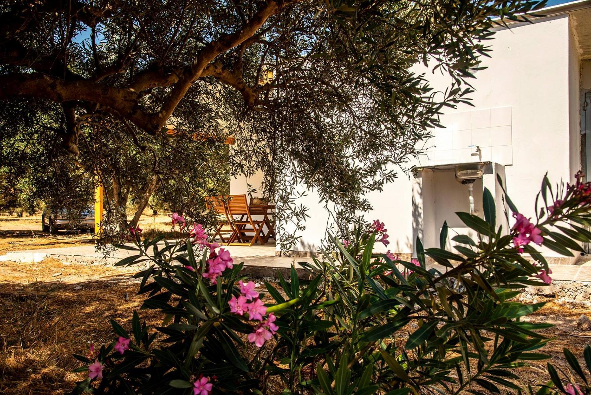 Flamingo Colour Valey House Villa Palekastro Exterior foto