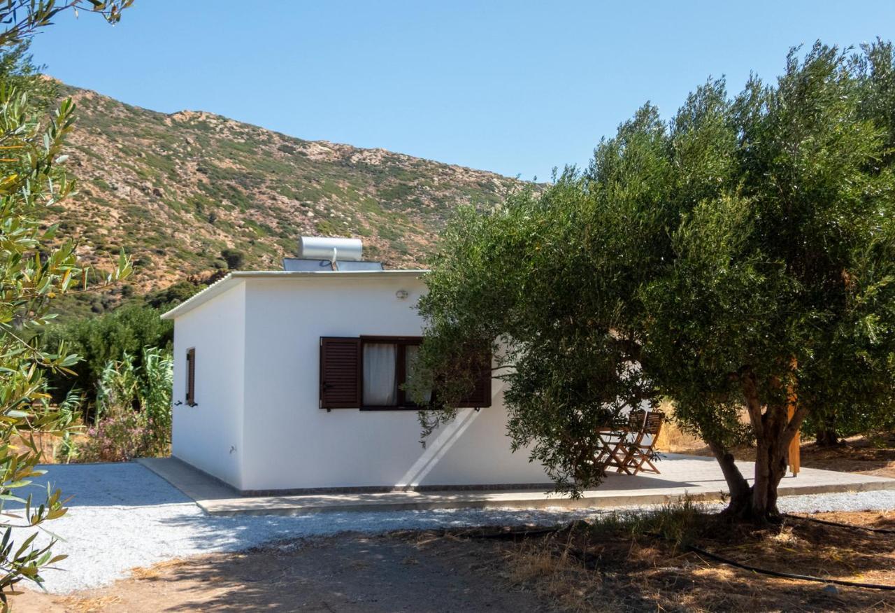 Flamingo Colour Valey House Villa Palekastro Exterior foto